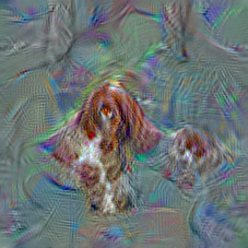 n02102040